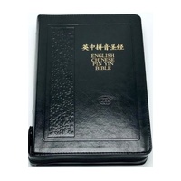 CUNP / KJV Pinyin Bible