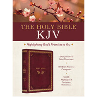 The Holy Bible KJV: Highlighting God's Promises to You [Crimson & Gold]